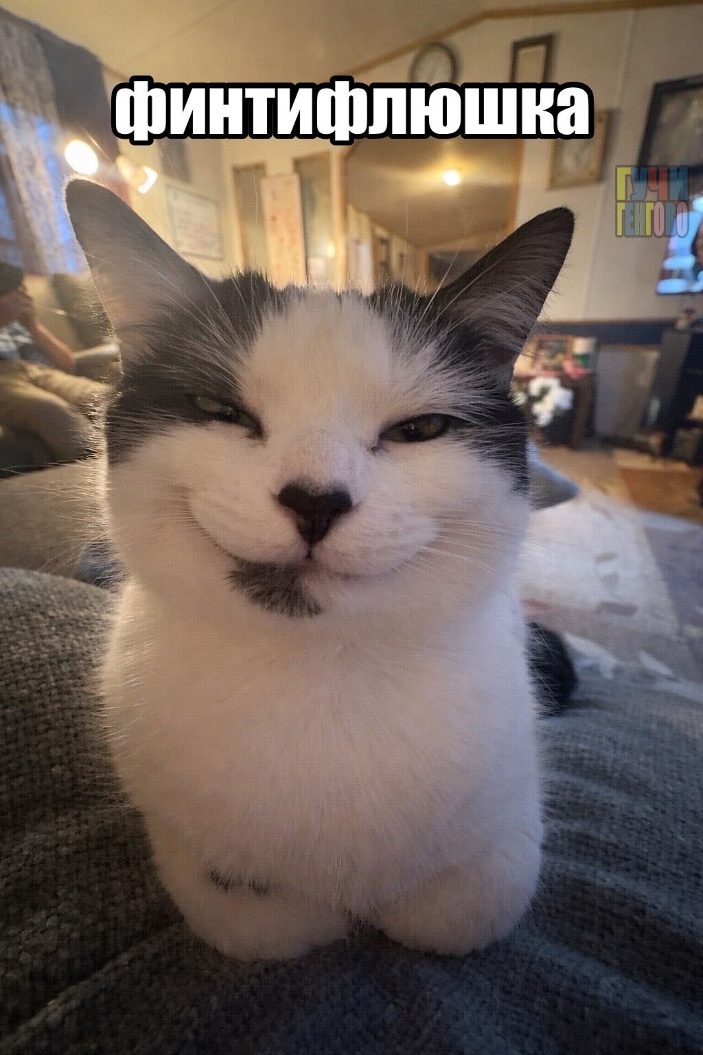 Avatar