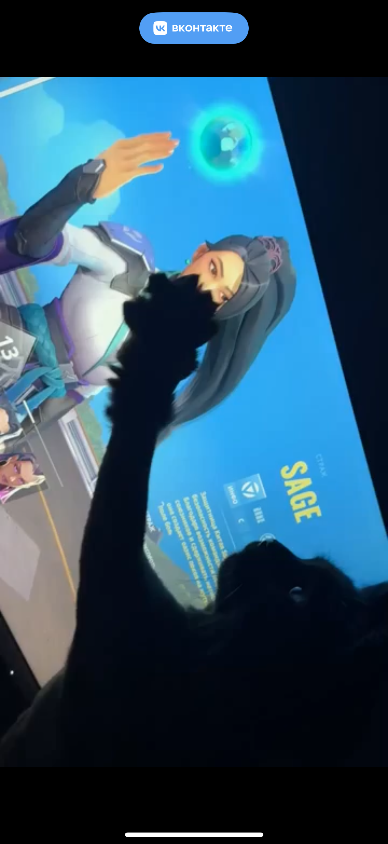 Avatar