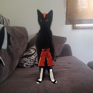 Avatar