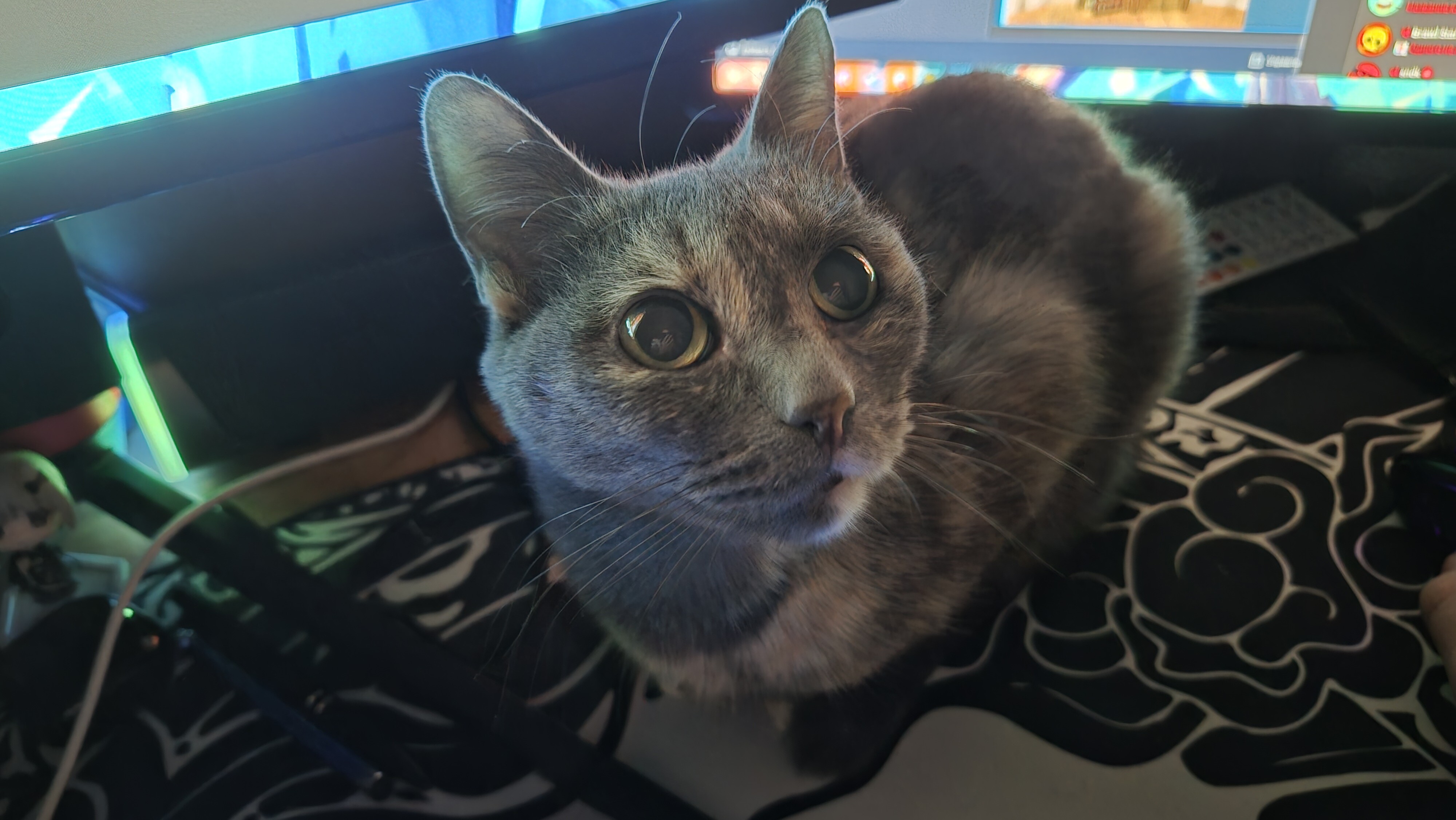Avatar