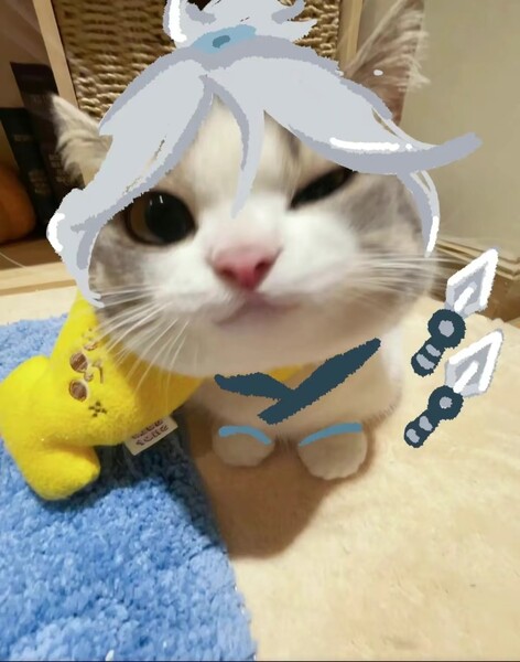 Avatar